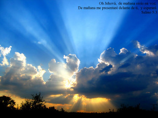 Sky clouds sun rays trees - a picture of a sky free wallpaper