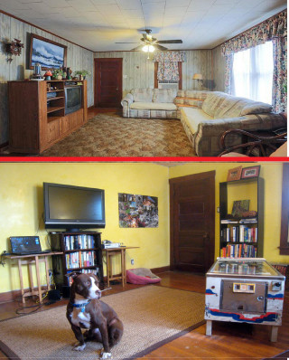 Dog sitting rug living room - a dog free wallpaper