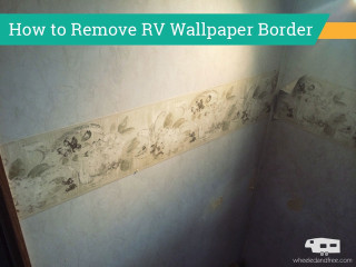 Corner room wallpaper border cat - a picture of a cat free wallpaper