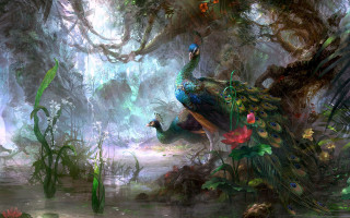 Peacock swamp plants flowers tree - the ground and a tree in the background free wallpaper