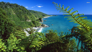 Beach forest view hilltop water - a matte painting free wallpaper