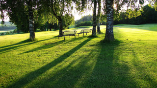Park benches trees shade sunny - a park free wallpaper