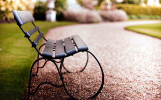 Bench roadside park path grass - grass and bushes free wallpaper