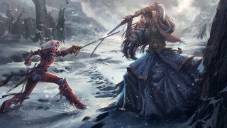 Snowy forest swords people holding - two sword free wallpaper