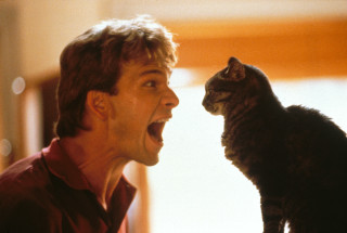 Man yelling cat sitting shoulder - his shoulder free wallpaper