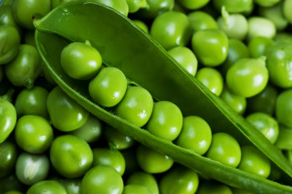Peas leaf peapod green precisionism - a leaf free wallpaper