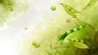 Green background leaves water bubbles - background free wallpaper for desktop
