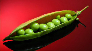 Pea pod green eggs red - a red background behind free wallpaper