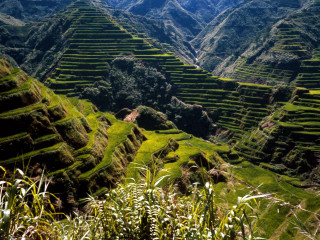 Mountain valley grassy field cityscape - a grassy field in the foreground free wallpaper