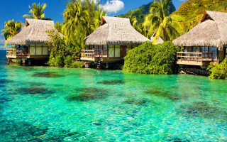 Huts beach ocean blue sky - top of a beach next free wallpaper
