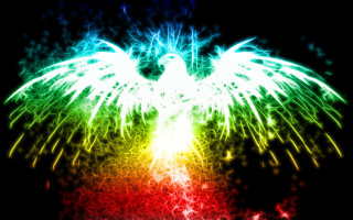 Colorful bird wings spread out - its body free wallpaper