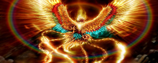 Bird halo wings painting artwork - a halo free wallpaper