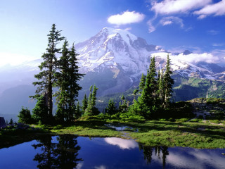 Mountain lake trees foreground nature 2 - a lake in the foreground and trees free wallpaper