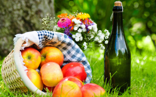 Basket apples wine grass flowers - professional food photography free wallpaper for desktop