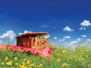 Picnic basket blanket field flowers - a blue sky in the background free wallpaper for desktop