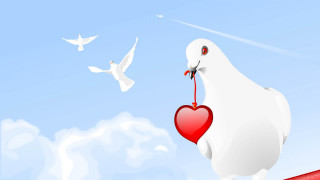White bird heart flying sky - a red heart free wallpaper