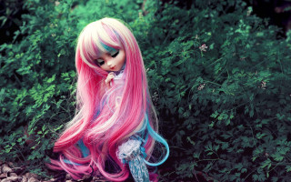 Pink blue hair doll forest - a rock in a forest free wallpaper