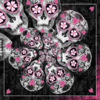 Skull pink flowers frame image - the middle of it free wallpaper