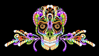 Colorful skull with a large - arm free wallpaper