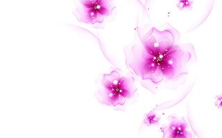 White pink flower floral background - a pink flower free wallpaper for desktop