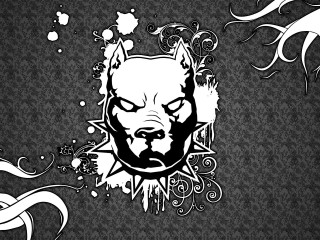 Dog face swirl lyco digital - a face free wallpaper