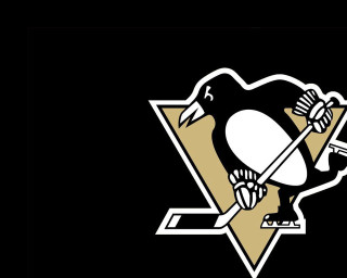 Penguin hockey stick puck sport - a hockey stick free wallpaper
