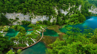 River wooden walkway forest waterfalls - amazing depth free wallpaper