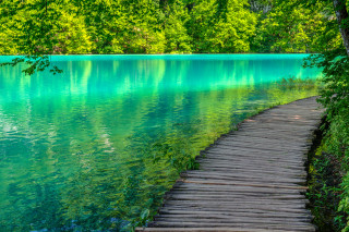 Wooden path lake trees magic - a wooden walkway free wallpaper