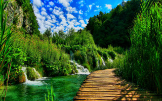Wooden path waterfall forest blue 2 - a waterfall in a forest free wallpaper
