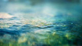 Blurry water green field blue - a green field in the background free wallpaper