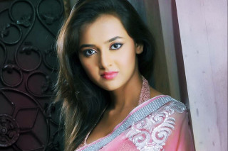 Woman pink sari posing picture - canvas painting free wallpaper