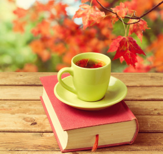 Cup tea book wooden table - a tree in the background free wallpaper