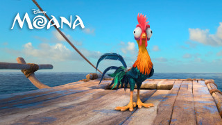 Cartoon chicken dock ocean boat 2 - brian thomas free wallpaper