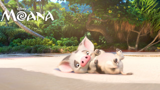 Pigs beach forest furry art - a forest of trees and bushes free wallpaper