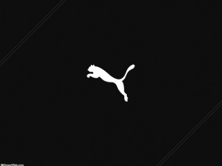 Cat running dark floor minimalist - a white outline free wallpaper