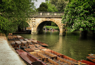 Boats river bridge cityscape flower - a group of boats free wallpaper