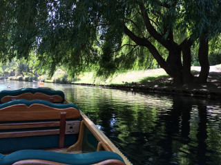 Row boat water tree bench - alexander brook free wallpaper