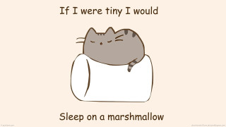 Cat sleeping marshmallow pillow eyes - tiny free wallpaper