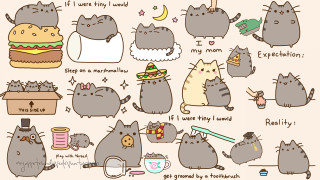 Cats cake hamburger plate cup - furry free wallpaper