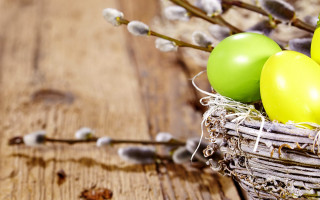 Basket filled green yellow eggs - egg free wallpaper
