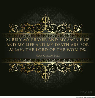 Bible quote inspirational wisdom faith - don arday free wallpaper