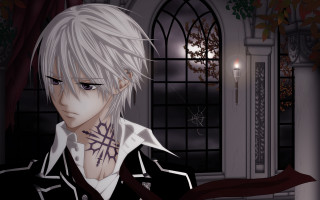 Man white hair black jacket 4 - an anime drawing free wallpaper
