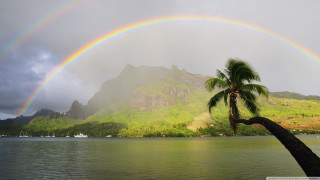 Rainbow mountain lake palmtree holography - mystical free wallpaper