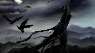 Man sceptacle flock birds cloudy - a flock of birds free wallpaper