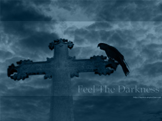 Bird perched cross sky background - a sky background behind free wallpaper
