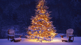 Christmas tree chairs snow night - two chair free wallpaper