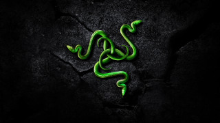 Green snake black surface cobra - its side free wallpaper