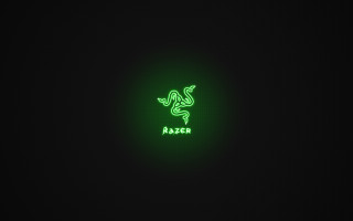 Green neon sign lizard night - the dark night time free wallpaper