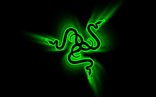 Green snake glowing dark curled 2 - a green snake free wallpaper