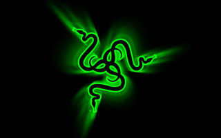 Green snake glowing dark curled - a green snake free wallpaper